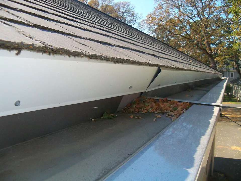 Rain gutter with fallen leaves along a shingle roof