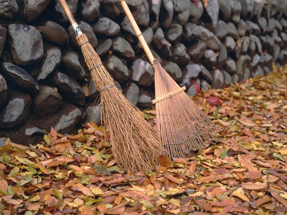 Two rakes leaning on a stone wall over fallen leaves